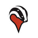 cloudbadger.net logo